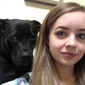 Meet your Posher, Bailey